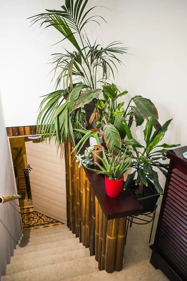 Guest house City Dacha Sliema Malta